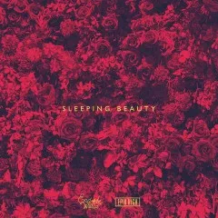 Lời bài hát Sleeping Beauty – End Of The World, Epik High