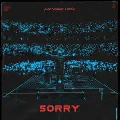 Lời bài hát Sorry – Alan Walker, ISÁK