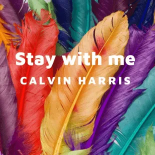 Lời bài hát Stay with me - Calvin Harris | Stay with me Lyrics