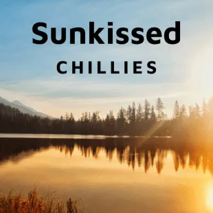 Lời bài hát Sunkissed - Chillies | Sunkissed Lyrics