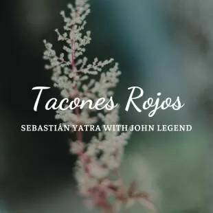 Lời bài hát Tacones Rojos - Sebastián Yatra with John Legend | Tacones Rojos Lyrics