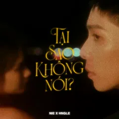 Lời bài hát Tại Sao Không Nói – Hngle, Nie