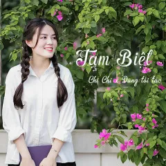 Lời bài hát Tạm Biệt – Chi Chi, Dũng tối tác