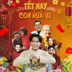 Lời bài hát Tết Nay Con Hứa Về – Đan Trường