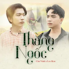 Lời bài hát Thằng Ngốc – Lee Ken, Cần Vinh