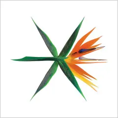 Lời bài hát The Eve – EXO