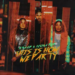 Lời bài hát This Is How We Party – R3hab, Icona Pop