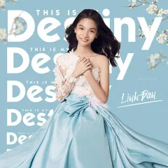 Lời bài hát This Is My Destiny – Linh Đan