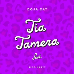 Lời bài hát Tia Tamera – Doja Cat, Rico Nasty