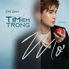 Lời bài hát Tìm Em Trong Mơ (Beat) – Chi Dân