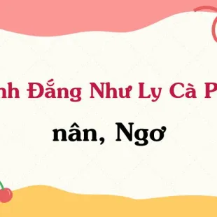 Lời bài hát Tình Đắng Như Ly Cà Phê - nân, Ngơ | Tình Đắng Như Ly Cà Phê Lyrics