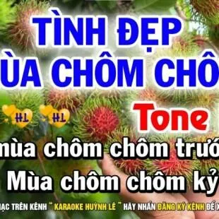 Lời bài hát Tình đẹp mùa chôm chôm - Dương Hồng Loan x Lưu Chí Vỹ | Tình đẹp mùa chôm chôm Lyrics