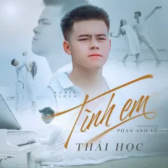 Lời bài hát Tình Em – Thái Học