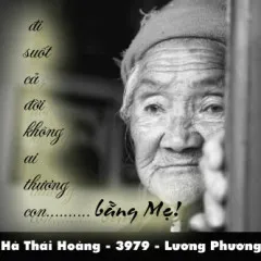 Lời bài hát Tình Mẹ – Lương Phương