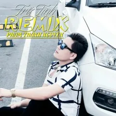 Lời bài hát Tình Mẹ (Remix) – Phạm Thành Nguyên, Ngọc Sơn