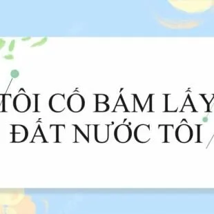 Lời bài hát Tôi cố bám lấy Đất nước tôi - Nguyễn Đình Toàn | Tôi cố bám lấy Đất nước tôi Lyrics