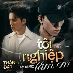 Lời bài hát Tội Nghiệp Lắm Em (AM Remix) – Thành Đạt