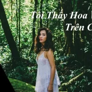 Lời bài hát Tôi thấy hoa vàng trên cỏ xanh - Ái Phương | Tôi thấy hoa vàng trên cỏ xanh Lyrics