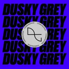 Lời bài hát Told Me – Dusky Grey