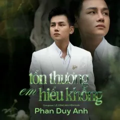 Lời bài hát Tổn Thương Em Hiểu Không (Ciray Remix) – Phan Duy Anh, ACV