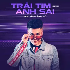 Lời bài hát Trái Tim Anh Sai (Remix) – Nguyễn Đình Vũ