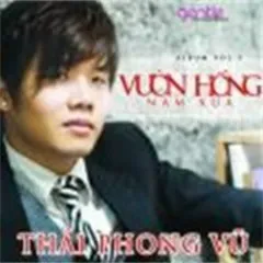 Lời bài hát Trăng Không Tròn – Thái Phong Vũ