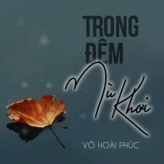 Lời bài hát Trong Đêm Mù Khơi – Võ Hoài Phúc