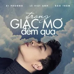 Lời bài hát Trong Giấc Mơ Đêm Qua (Acoustic Version) – Lê Việt Anh, Bảo Trâm