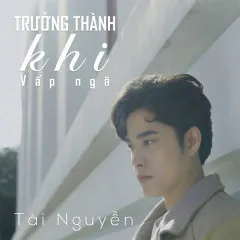 Lời bài hát Trưởng Thành Khi Vấp Ngã – Tài Nguyễn, HOA HỒNG DẠI MUSIC