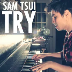 Lời bài hát Try (Acoustic Version) – Sam Tsui