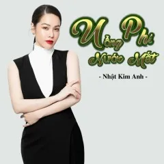 Lời bài hát Uổng Phí Nước Mắt – Nhật Kim Anh