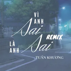 Lời bài hát Vì Anh Sai, Là Anh Sai (Remix) – Tuấn Khương