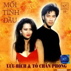 Lời bài hát Vòng Tay Người Ấy – Lưu Bích