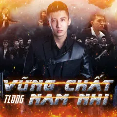 Lời bài hát Vững Chất Nam Nhi – TLong