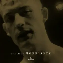 Lời bài hát We’ll Let You Know – Morrissey