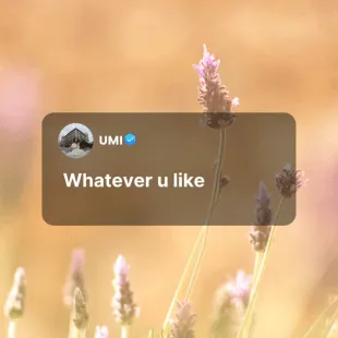 Lời bài hát Whatever u like - UMI | Whatever u like Lyrics