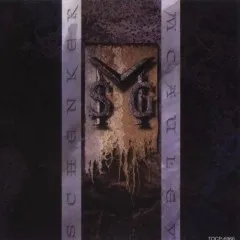 Lời bài hát When I’m Gone – The Michael Schenker Group