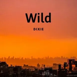 Lời bài hát Wild - Dixie | Wild Lyrics