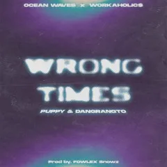 Lời bài hát Wrong Times – puppy, Dangrangto