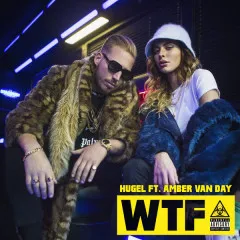 Lời bài hát WTF – HUGEL, Amber Van Day