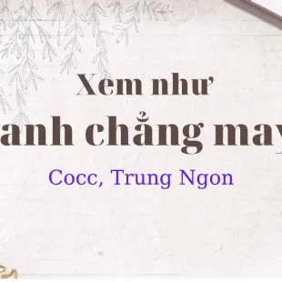 Lời bài hát Xem như anh chẳng may - Cocc, Trung Ngon | Xem như anh chẳng may Lyrics