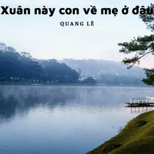 Lời bài hát Xuân này con về mẹ ở đâu - Quang Lê | Xuân này con về mẹ ở đâu Lyrics