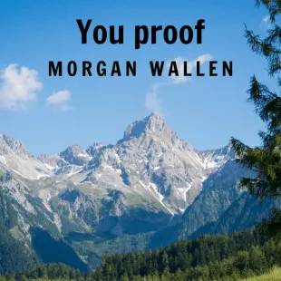 Lời bài hát You proof - Morgan Wallen | You proof Lyrics