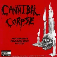 Lời bài hát Zero The Hero (Black Sabbath cover) – Cannibal Corpse